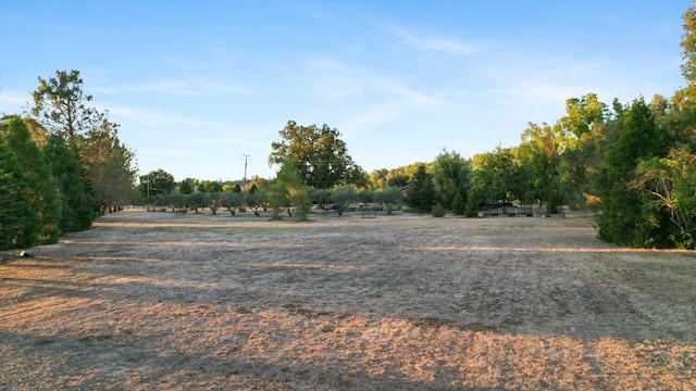 view of yard with a rural view