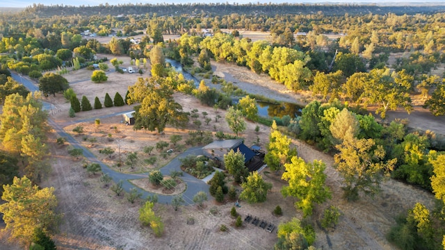 aerial view featuring a forest view