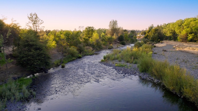 view of local wilderness with a wooded view