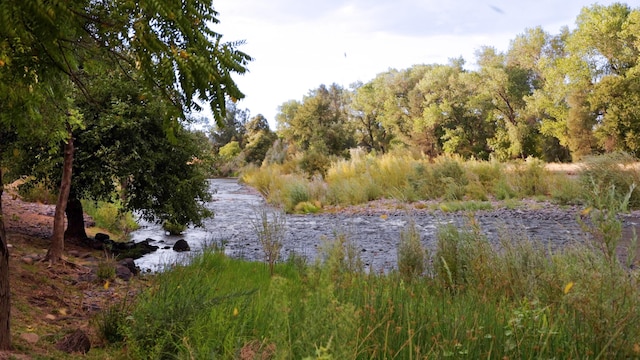 view of landscape featuring a forest view