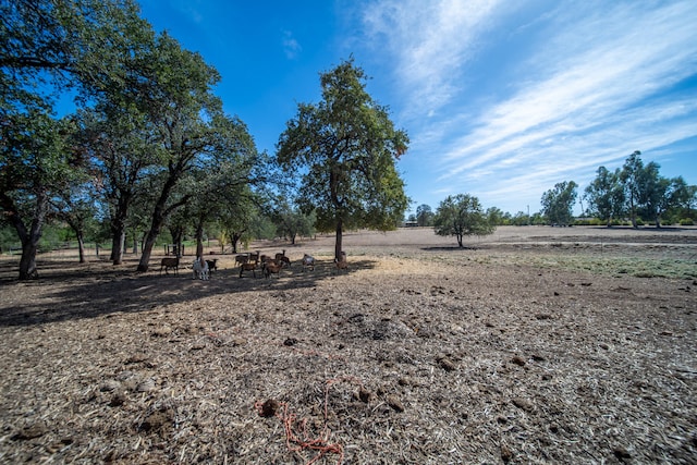 view of yard with a rural view