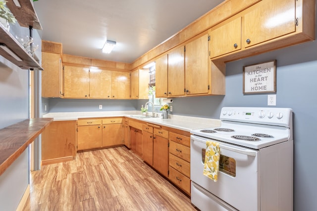 kitchen featuring white range with electric cooktop, light hardwood / wood-style flooring, and sink