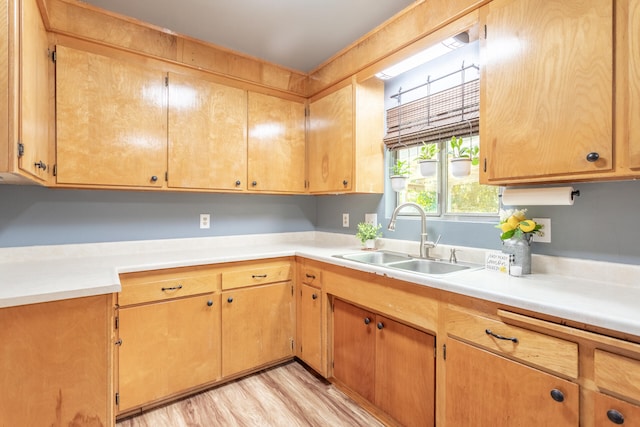 kitchen with light wood-type flooring and sink