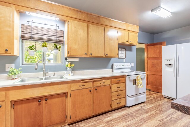 kitchen featuring light wood-type flooring, white appliances, and sink