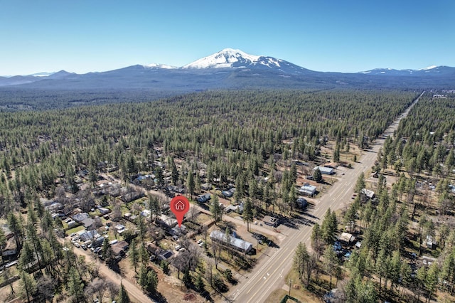 drone / aerial view featuring a wooded view and a mountain view