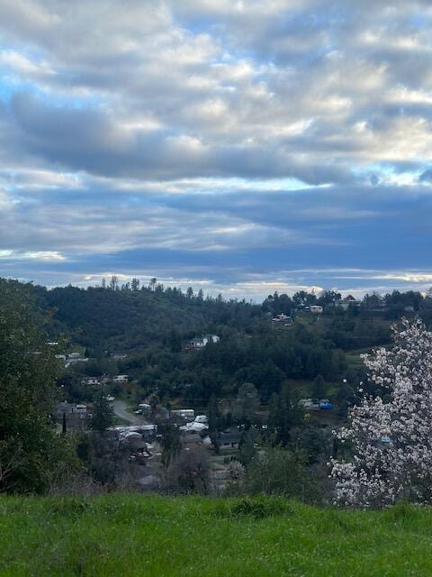Backbone Rd Ave, Redding, CA 96003 - photo 2