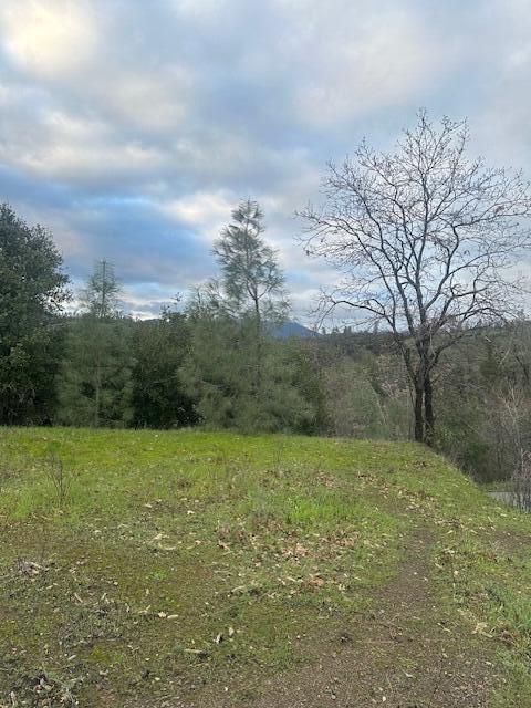 Backbone Rd Ave, Redding, CA 96003 - photo 3