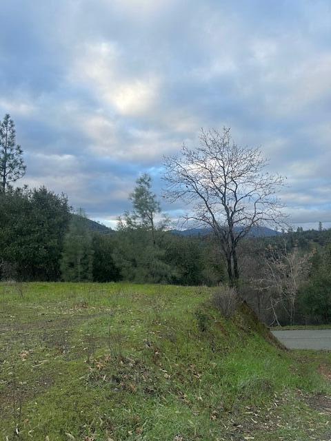Backbone Rd Ave, Redding, CA 96003 - photo 4