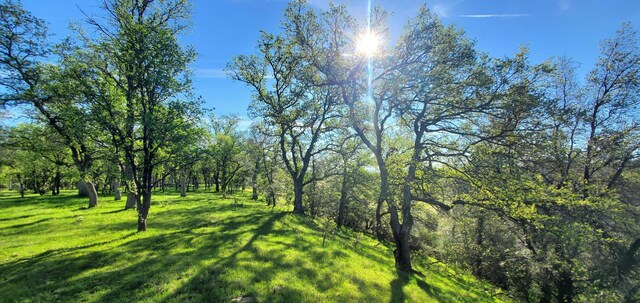 18505 Brumby Way, Anderson, CA 96007