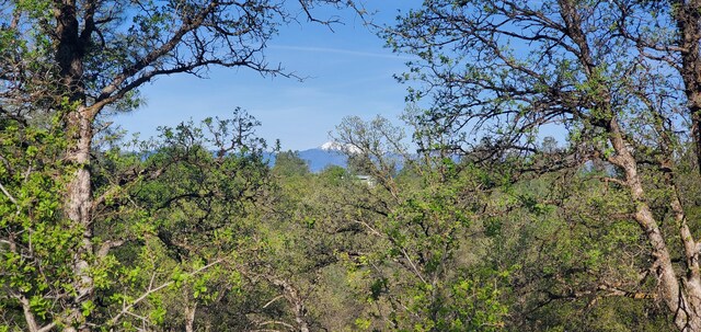 18505 Brumby Way, Anderson, CA 96007