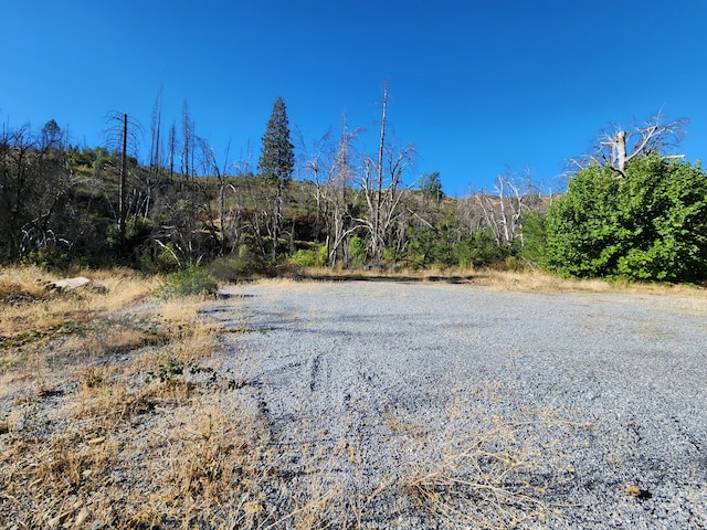 Listing photo 2 for 17031 Slate Creek Rd, Lakehead CA 96051