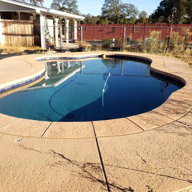 view of pool featuring a patio area