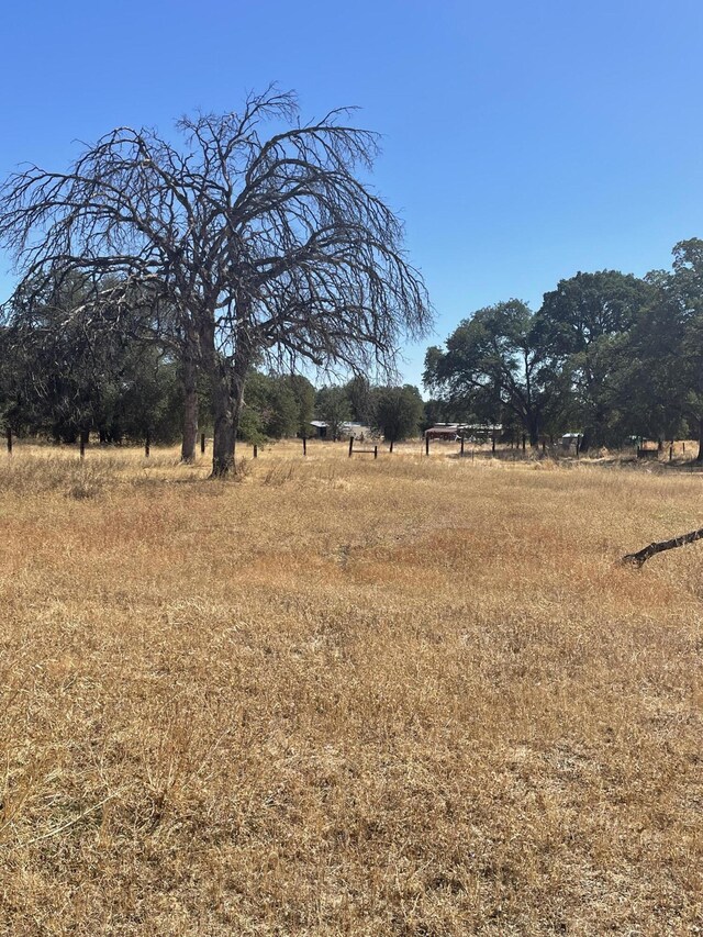 view of yard with a rural view