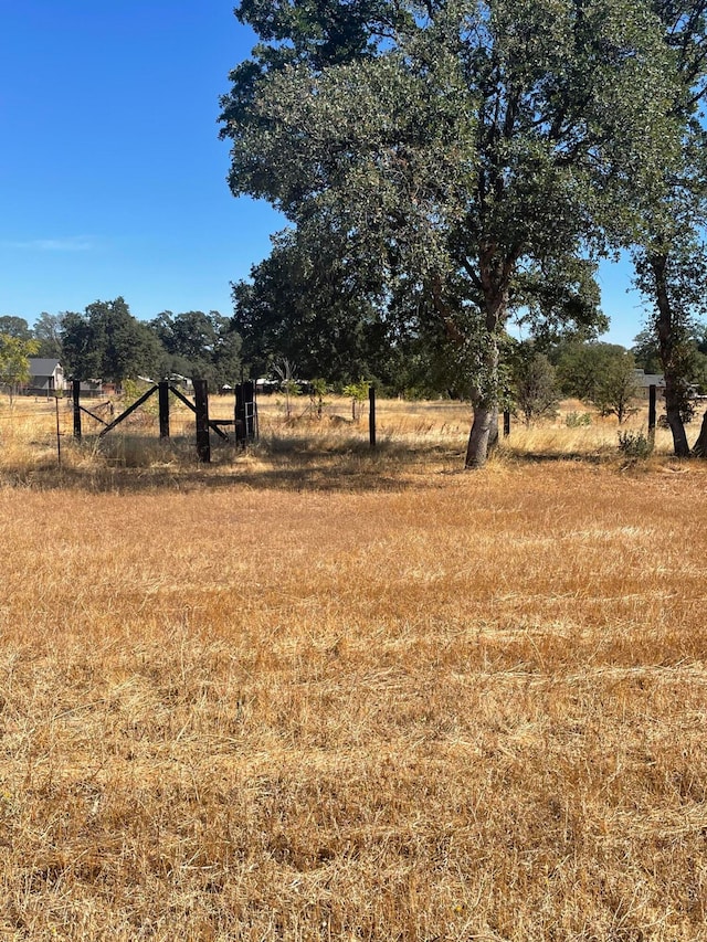 view of yard featuring a rural view