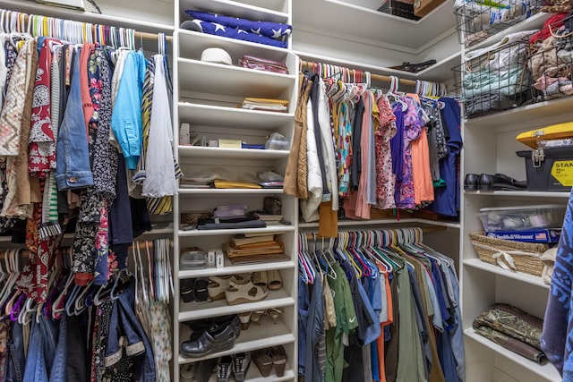 view of walk in closet