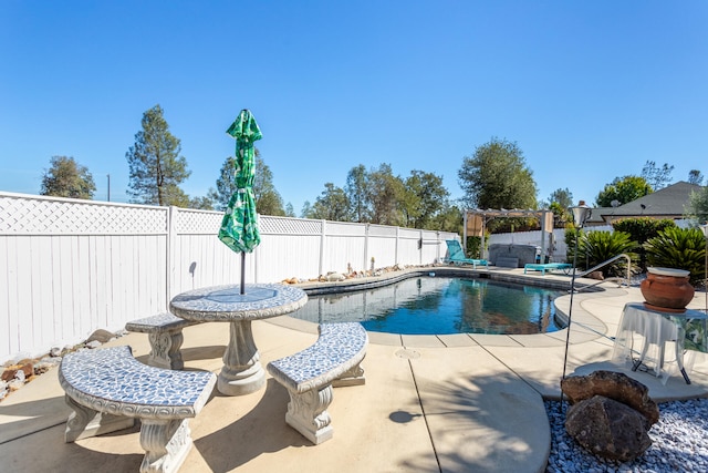 view of swimming pool featuring a patio