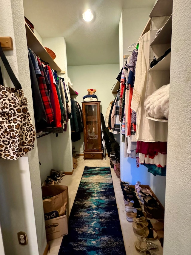 view of spacious closet