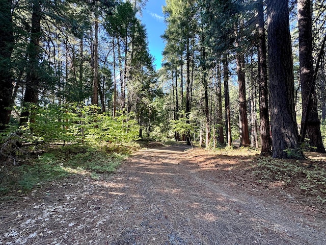 view of road