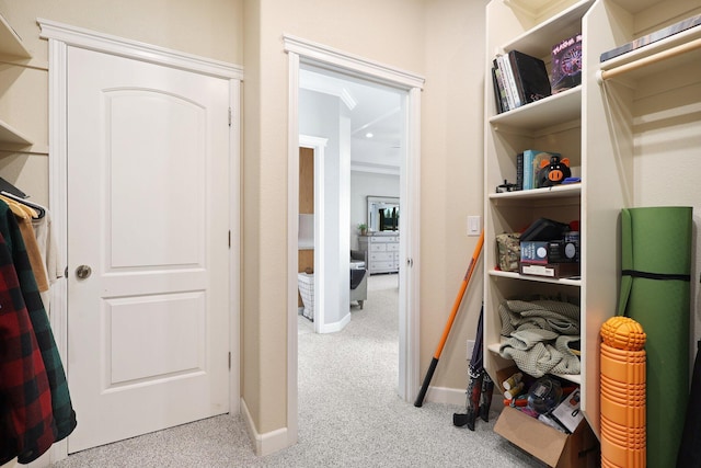 spacious closet featuring light colored carpet