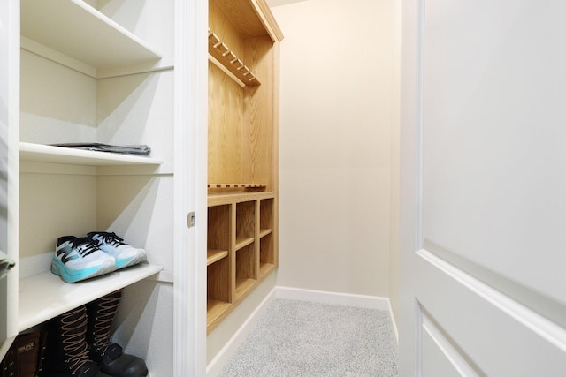 spacious closet featuring light colored carpet