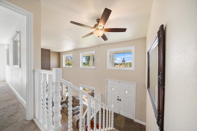 stairway with carpet floors and ceiling fan