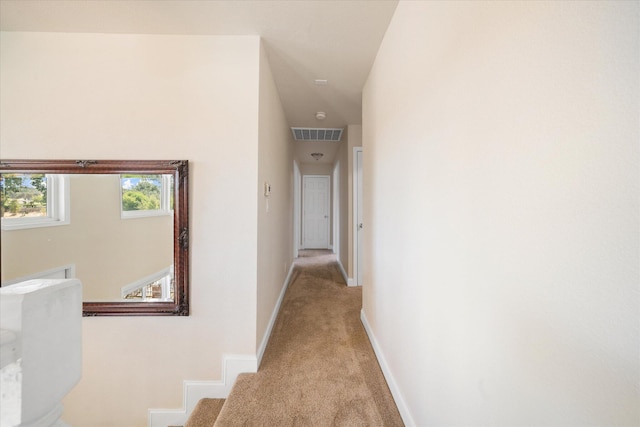 corridor with light colored carpet