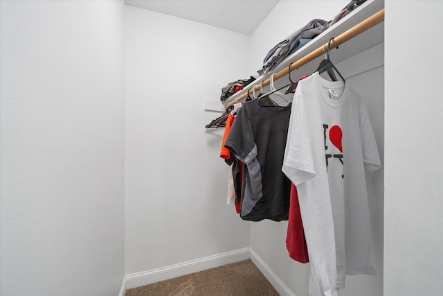 spacious closet with carpet flooring