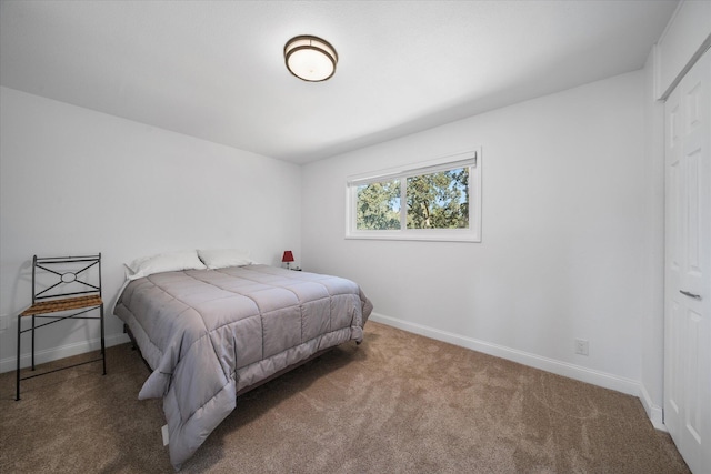 bedroom featuring a closet and carpet flooring