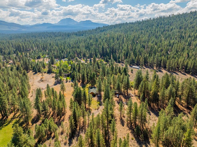 drone / aerial view with a mountain view