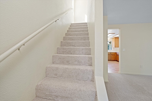 stairs with carpet flooring