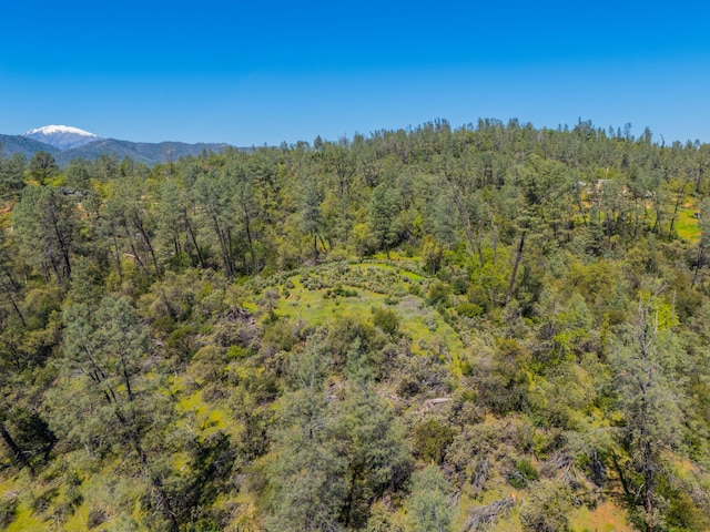 Southview Ct, Redding CA, 96001 land for sale