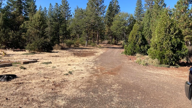 view of road