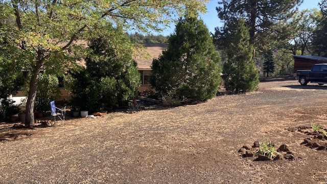 530-375 Little Valley Rd, Little Valley, CA 96056 - photo 6