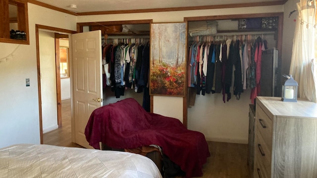 bedroom featuring light hardwood / wood-style floors and ornamental molding