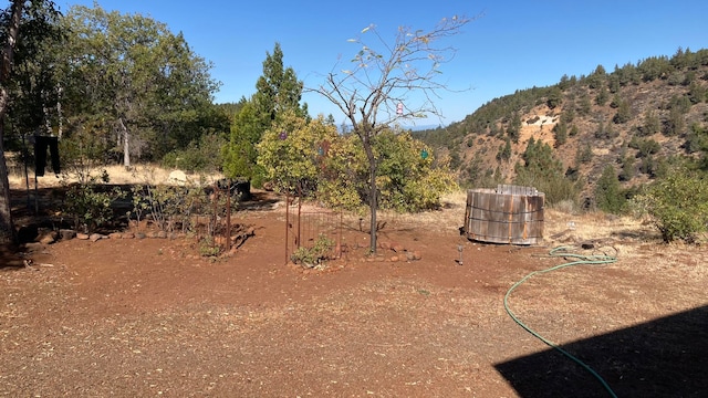 view of yard with a mountain view