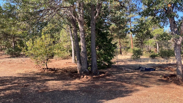 view of landscape