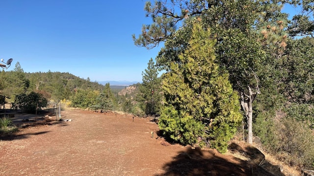 view of local wilderness