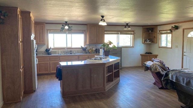 kitchen featuring crown molding, a healthy amount of sunlight, wood-type flooring, and a center island