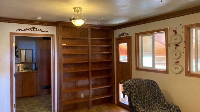 sitting room featuring crown molding