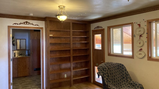 530-375 Little Valley Rd, Little Valley, CA 96056 - photo 34