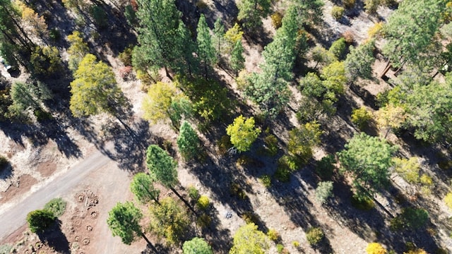 530-375 Little Valley Rd, Little Valley, CA 96056 - photo 43