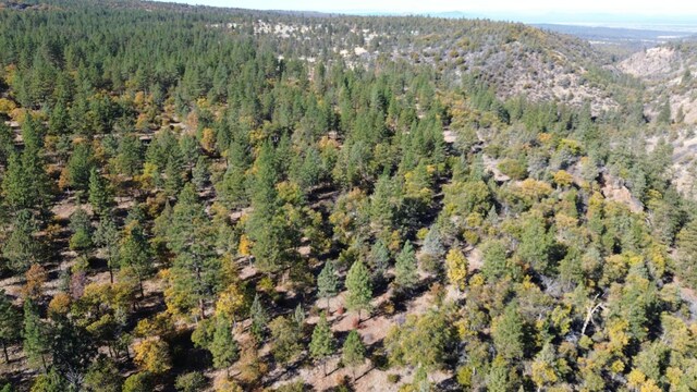 530-375 Little Valley Rd, Little Valley, CA 96056 - photo 44
