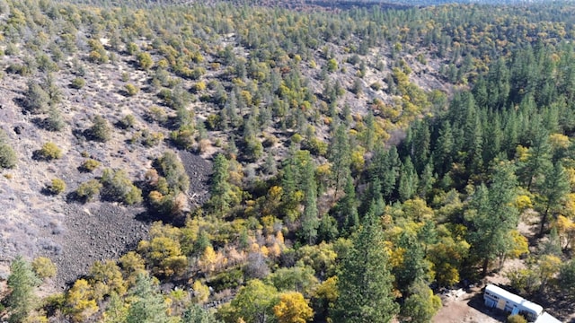 530-375 Little Valley Rd, Little Valley, CA 96056 - photo 46
