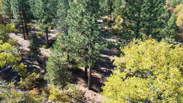 530-375 Little Valley Rd, Little Valley, CA 96056 - photo 51