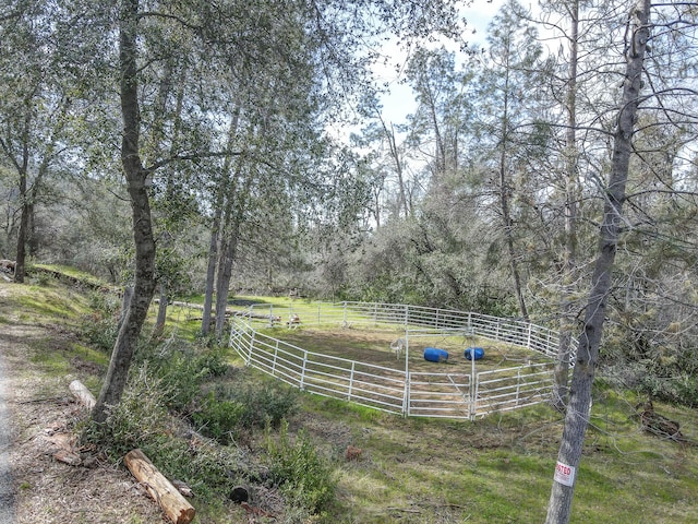 view of yard featuring a rural view