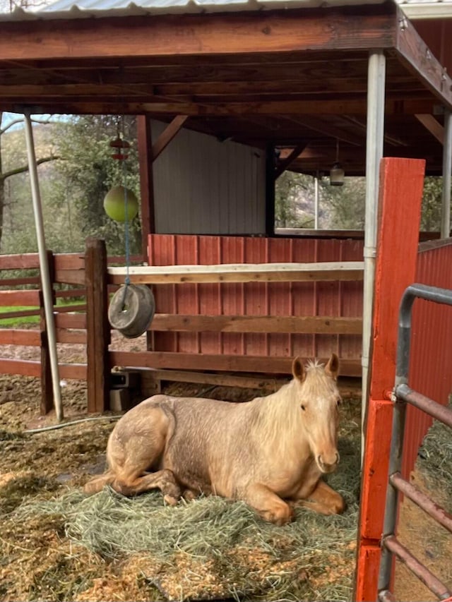 view of horse barn