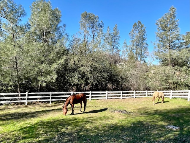 view of yard featuring a rural view