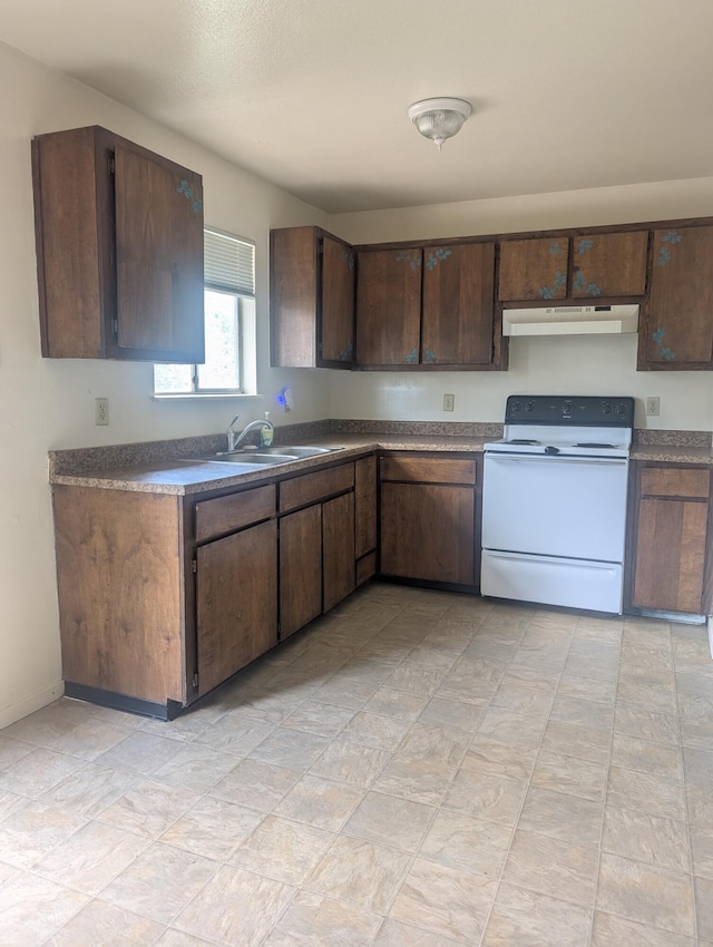 kitchen featuring electric stove, sink, and dark brown cabinets