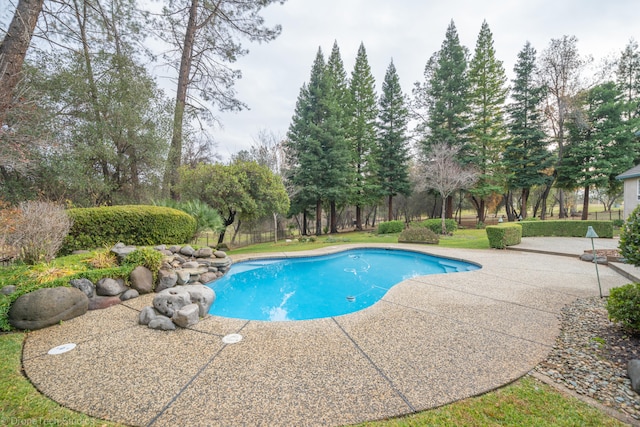 view of pool with a patio area