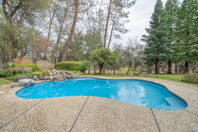 view of swimming pool with a patio